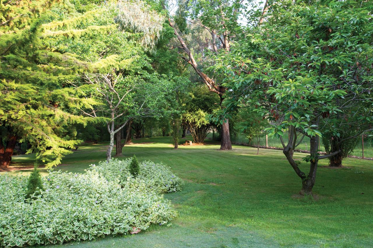 Clifton Gardens Bed & Breakfast - Orange Εξωτερικό φωτογραφία